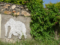 Elephant carved on wall at Sajjangarh Palace, Udaipur.